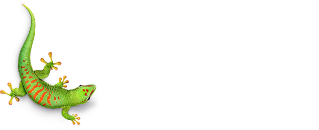 Bostik