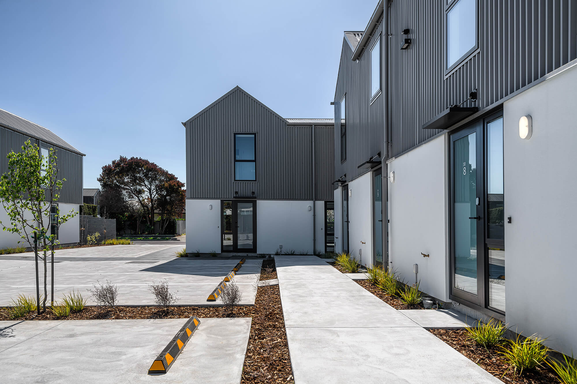 Loxo Cladding
