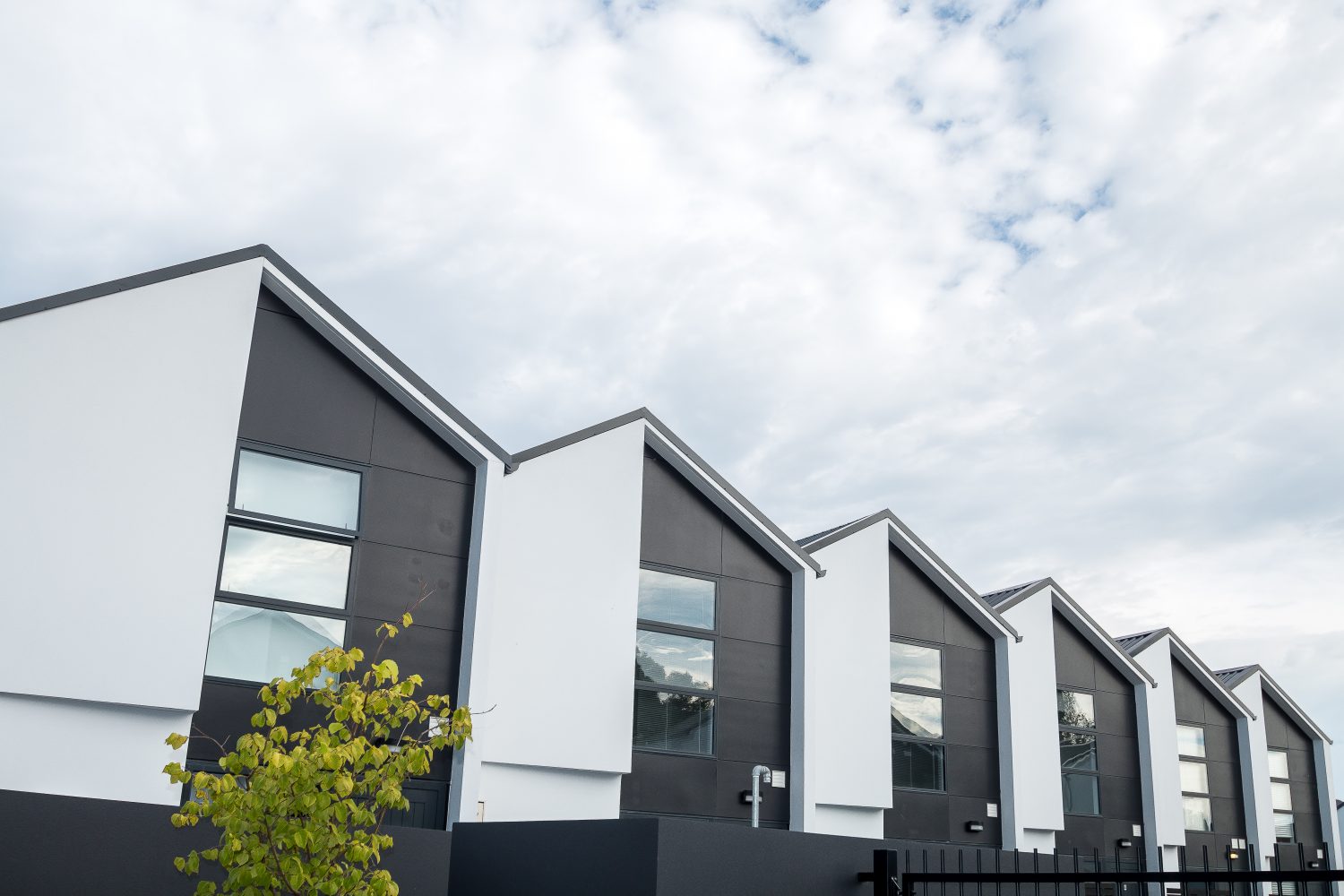 Loxo Cladding