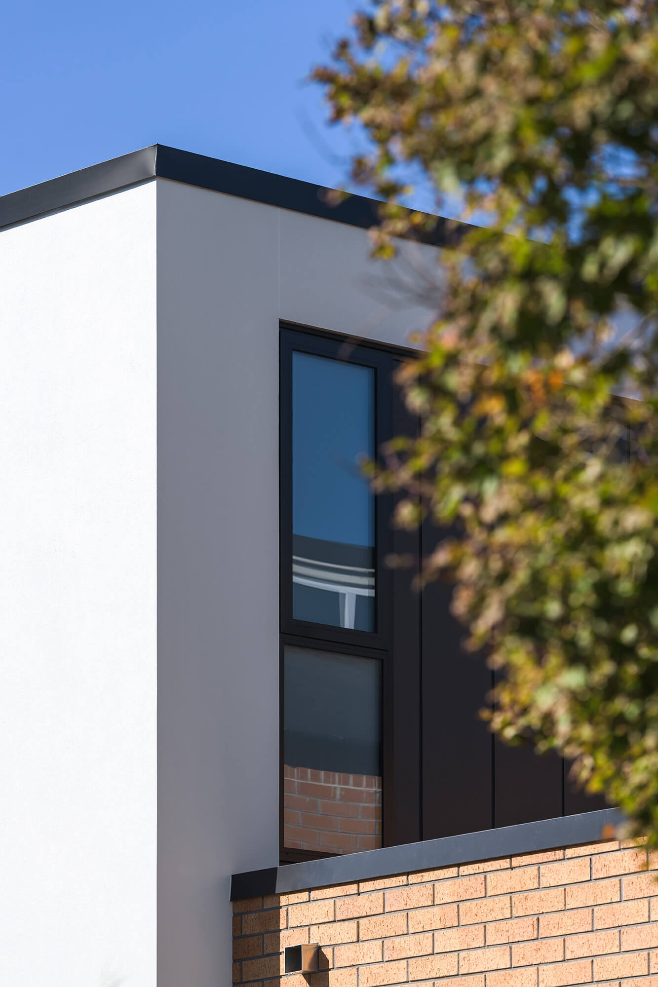 Loxo Cladding