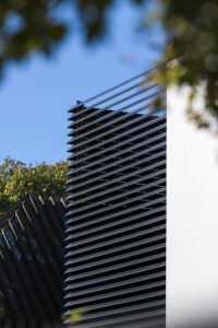 Loxo Cladding